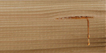 Resin comes out the surface of the timber